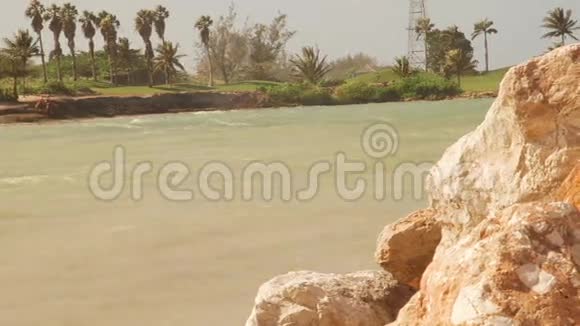 加勒比海岛热带天堂棕榈树视频的预览图