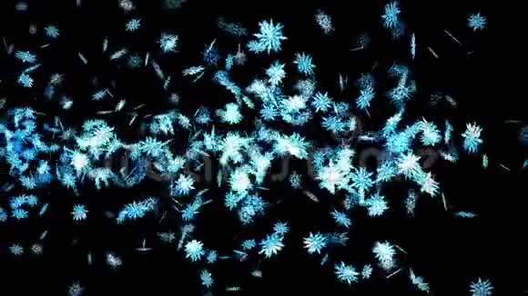 冬雪晶莹落下黑色背景上美丽的雪效果圣诞节CG雪花循环动画视频的预览图