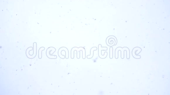 来自冬天天空的白雪视频的预览图