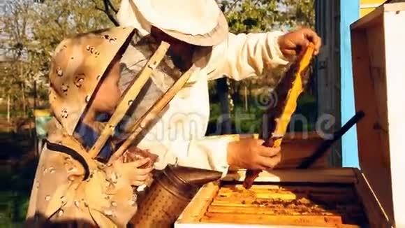 养蜂人祖父和孙子检查一群蜜蜂视频的预览图