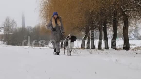 美丽开朗的女孩在雪地里遛狗视频的预览图