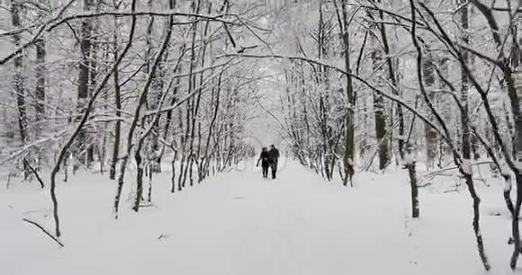 在冬季公园散步的快乐夫妇视频的预览图