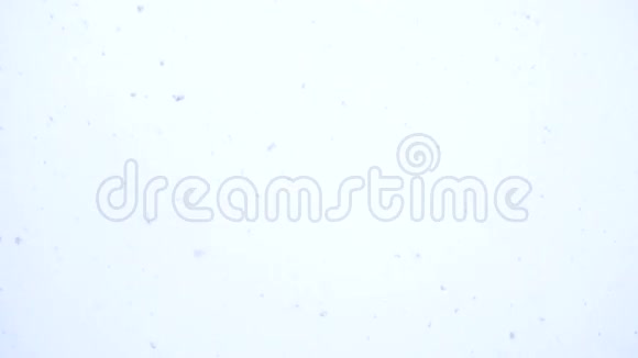 来自冬天天空的白雪视频的预览图