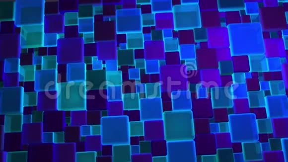 霓虹灯蓝色小熊背景4k视频的预览图