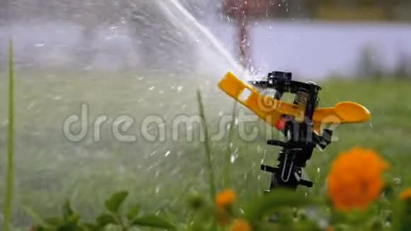 草坪自动喷水器在花园与绿草缓慢运动视频的预览图