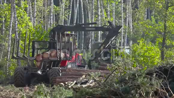 木材装载木材加工毁林用爪装载木材视频的预览图