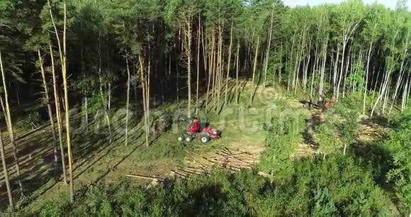 现代伐木机毁林工作流程视频的预览图