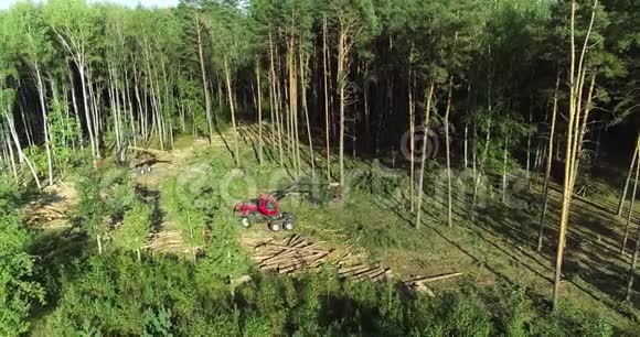 工业规模的森林砍伐空中伐木老松林的森林砍伐随之而来的森林砍伐视频的预览图