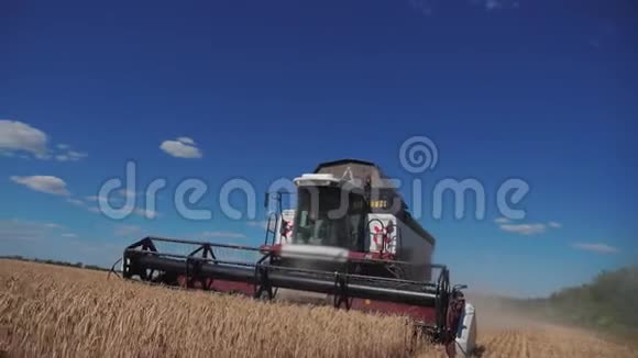 联合收割机收割小麦慢动作视频农业收获概念结合实地生活方式收集视频的预览图