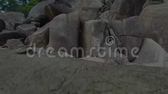 石头和森林射击视频的预览图