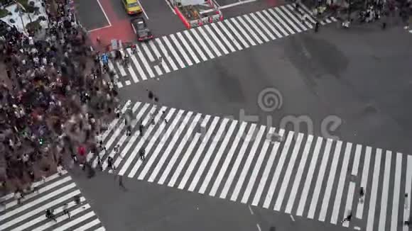 石布雅十字路口是世界上最繁忙的人行横道之一视频的预览图