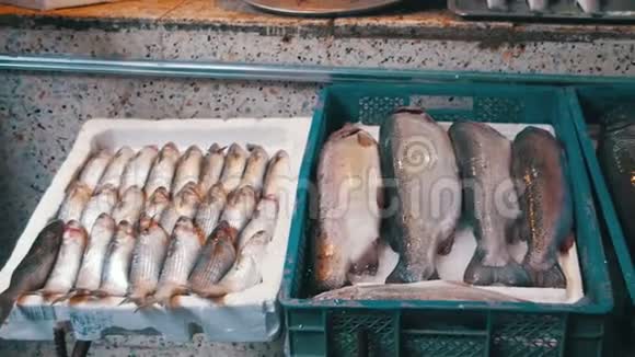 新鲜海鱼店视频的预览图