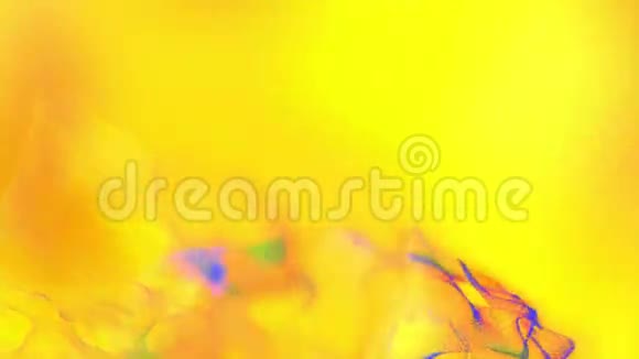 黄色背景上的彩色尘埃粒子动画循环视频的预览图