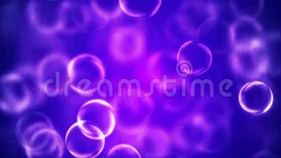 高清循环背景与漂亮的紫色气泡视频的预览图