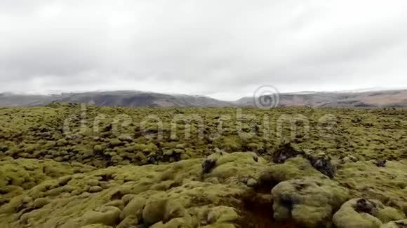 青苔熔岩景观视频的预览图