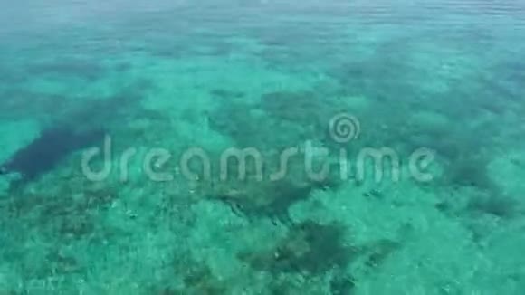 科洛尼亚圣约迪西班牙迷人的海滩埃斯特伦克的惊人景观它赢得了加勒比海滩的声誉视频的预览图