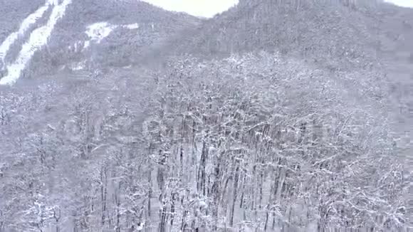 俄罗斯索契高罗德高加索山脉的空中景观树木和岩石覆盖着雪视频的预览图