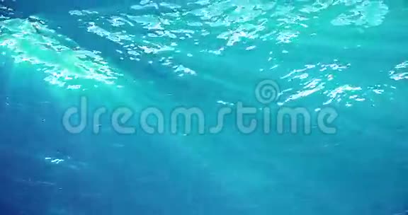 高质量的动画海洋波从水下与漂浮浮游生物光线透过很受欢迎视频的预览图
