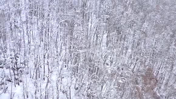俄罗斯索契高罗德高加索山脉的空中景观树木和岩石覆盖着雪视频的预览图