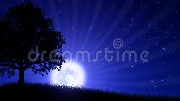 月亮之夜树动画背景视频的预览图