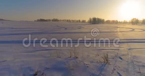 无人驾驶飞机观看寒冷的冬季景观北极的田野覆盖着霜雪的树木和清晨的阳光视频的预览图