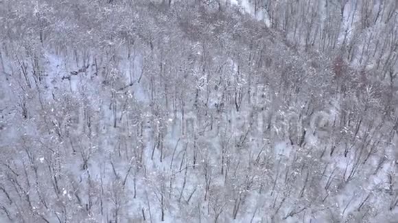 俄罗斯索契高罗德高加索山脉的空中景观树木和岩石覆盖着雪视频的预览图