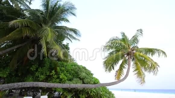 沙滩和海浪沙滩和海浪马尔代夫视频的预览图