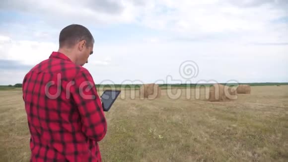 智慧农业理念农夫在数字平板电脑上的田野里研究干草堆慢生活方式运动视频的预览图
