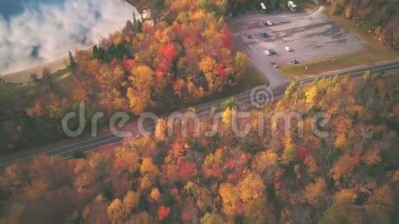 弗兰科尼亚诺奇州立公园的秋色视频的预览图