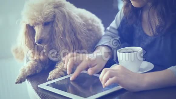 年轻女子正在和一只狗休息并使用平板电脑视频的预览图