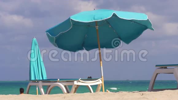 夏日迈阿密南海岸著名伞4k佛罗里达美国视频的预览图