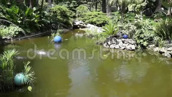 摩纳哥日本花园视频的预览图