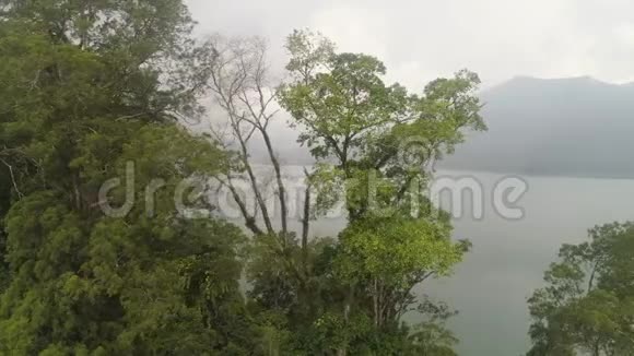 印度尼西亚巴厘岛山区的湖泊视频的预览图