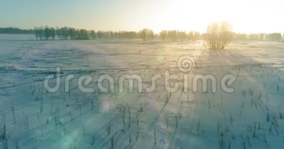 无人驾驶飞机观看寒冷的冬季景观北极的田野覆盖着霜雪的树木和清晨的阳光视频的预览图