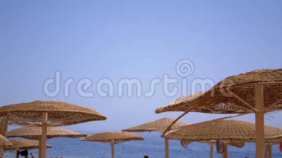 埃及海滩海底雨伞视频的预览图