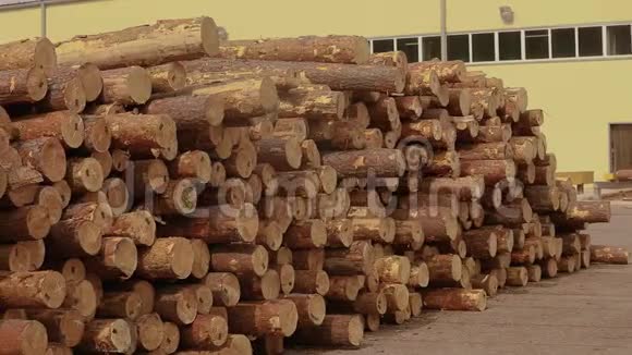 木工工厂锯木厂的原木锯木厂的仓库视频的预览图
