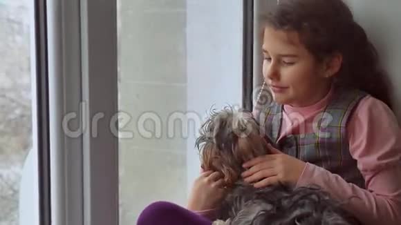少女和狗坐在窗台上的宠物窗台上视频的预览图