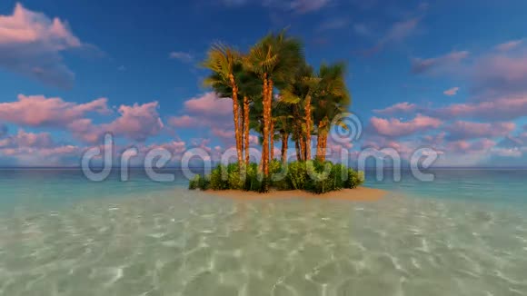 热带海岛度假田园背景Dusk视频的预览图