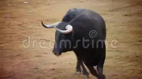 西班牙斗牛图片黑牛视频的预览图