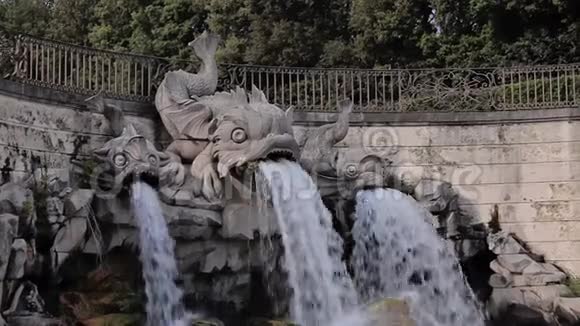 德拉雷吉亚迪卡塞塔玛格丽塔喷泉视频的预览图