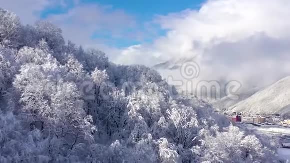 俄罗斯索契高罗德高加索山脉的空中景观树木和岩石覆盖着雪视频的预览图