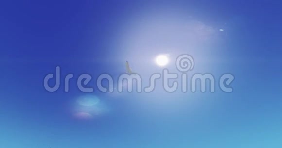 海鸥飞越阳光阳光和太阳耀斑天堂场景视频的预览图