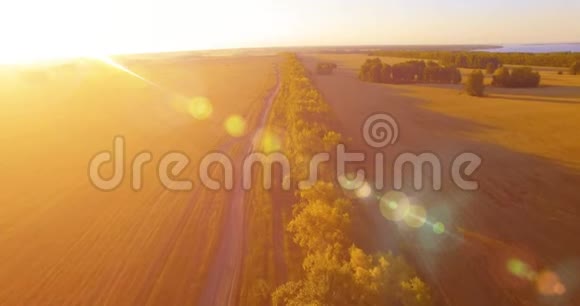 超高清4K鸟瞰图绿色和黄色麦田和树木线的低空飞行视频的预览图