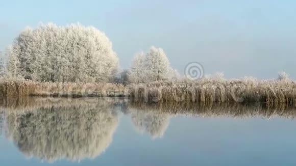 德国勃兰登堡哈维尔河的雾霜景观上午视频的预览图