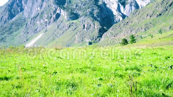 徒步旅行者带着背包在绿色的山地草地上行走夏季运动和娱乐理念视频的预览图