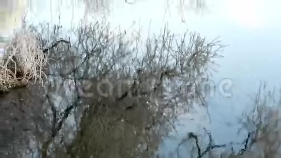 德国勃兰登堡哈维尔河的雾霜景观上午视频的预览图
