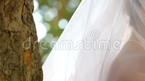 大自然的新娘视频的预览图