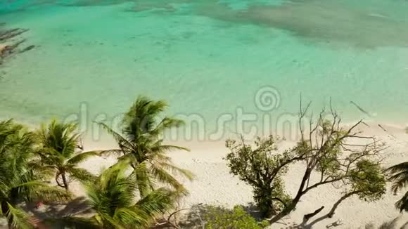 典型的岛屿白色沙滩顶部景观视频的预览图