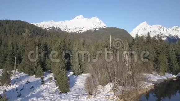 阿拉斯加的冬季荒野风景视频的预览图