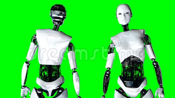 未来派人形女性机器人闲置真实的运动和反射4K绿屏镜头视频的预览图